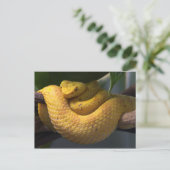 旅集郵便はがき2 ポストカード (スタンド正面)