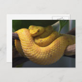 旅集郵便はがき2 ポストカード (正面/裏面)