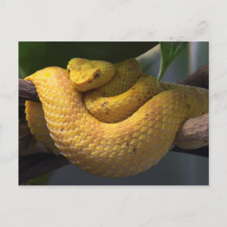 旅集郵便はがき2 ポストカード