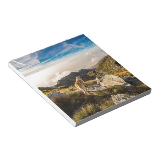 旅 ノートパッド (アングル)