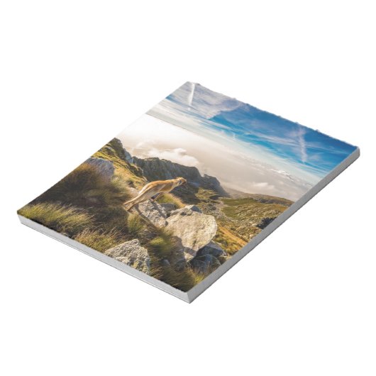 旅 ノートパッド (回転)