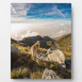 旅 フォトプラーク (正面)