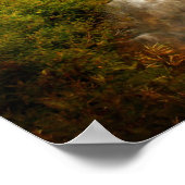 旅 ポスター (角)