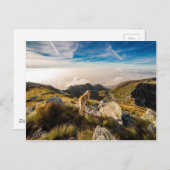 旅 ポストカード (正面/裏面)