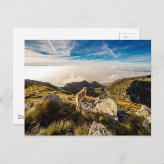 旅 ポストカード (正面/裏面)