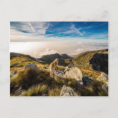 旅 ポストカード (正面)