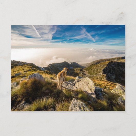 旅 ポストカード (正面)