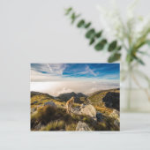 旅 ポストカード (スタンド正面)