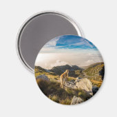 旅 マグネット (正面/裏面)