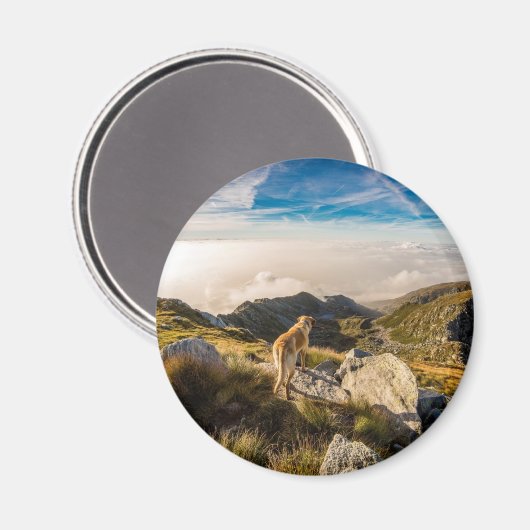 旅 マグネット (正面/裏面)