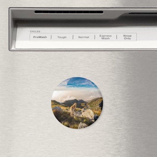 旅 マグネット (インサイチュ (食洗機))