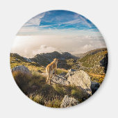 旅 マグネット (正面)