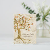 旋回木のルーツ古代パーチメント結婚の救の 案内ポストカード (スタンド正面)