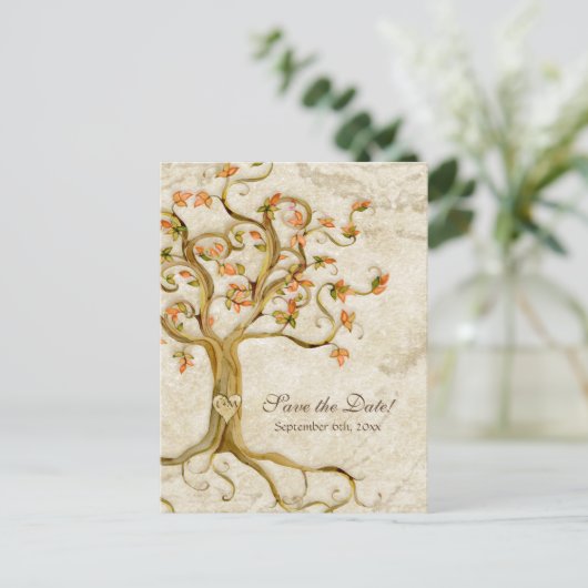 旋回木のルーツ古代パーチメント結婚の救の 案内ポストカード (スタンド正面)