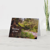 旋回橋、マウイハワイのあなたの考えること カード (正面)