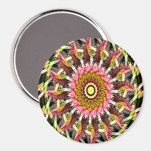 旋回開花..... マグネット (正面/裏面)