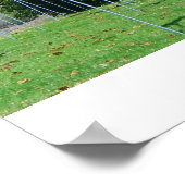 旗のフィールドのポスター! ポスター (角)