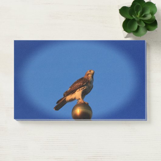 旗の上のカンザスホークそれを投稿するメモ ポストイット (オフィス)