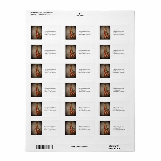 旗を飾った愛国少女 ラベル (フルシート)