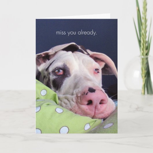 既に恋しく思って下さい カード (正面)