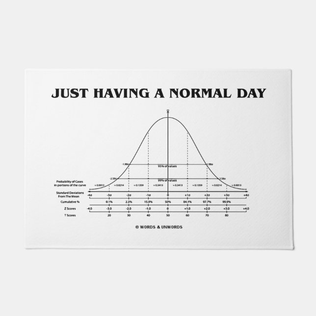 日々の統計ギーク ドアマット (正面)