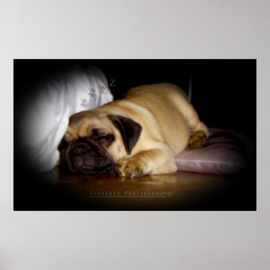 「日々出会う愛を喜ぶ」 ポスター (正面)