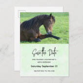 日かわいらし付を保存する茶色の馬 インビテーションポストカード (正面/裏面)