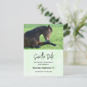 日かわいらし付を保存する茶色の馬 インビテーションポストカード (スタンド正面)