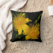 日が差すこと花枕 クッション (ブランケット)