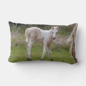 日が差すこと装飾用クッション ランバークッション (裏面)