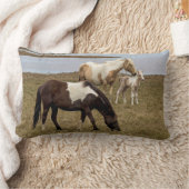 日が差すこと装飾用クッション ランバークッション (ブランケット)