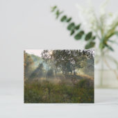 日が差すこと07 ポストカード (スタンド正面)