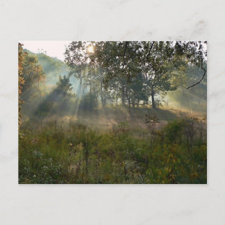 日が差すこと07 ポストカード