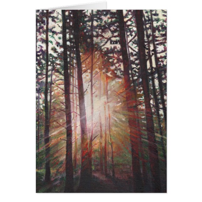 日が差すこと2010年 (正面)