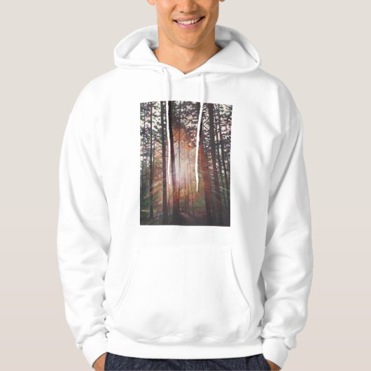 日が差すこと2010年 パーカ (正面)