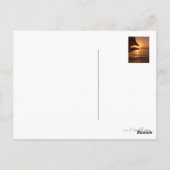 日が当たった ポストカード (裏面)