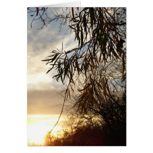 日が沈むにつれて (正面)