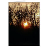 日が沈むにつれて (正面)