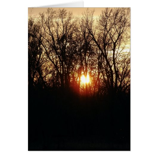 日が沈むにつれて (正面)