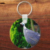 日なたに立つ青いヘルメットギニア鳥 キーホルダー (正面)