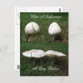 日なんと相違作るか ポストカード (正面/裏面)