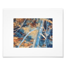 日に晒された素朴海岸線ブラシ