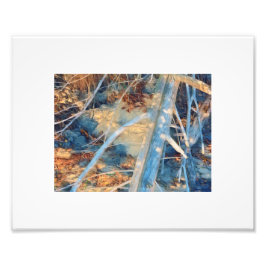 日に晒された素朴海岸線ブラシ フォトプリント           