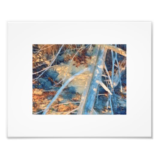 日に晒された素朴海岸線ブラシ フォトプリント            (正面)