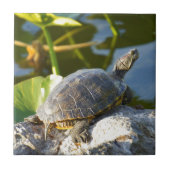 日に晒すこと タイル (正面)