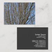 日に照った枝 名刺 (正面/裏面)