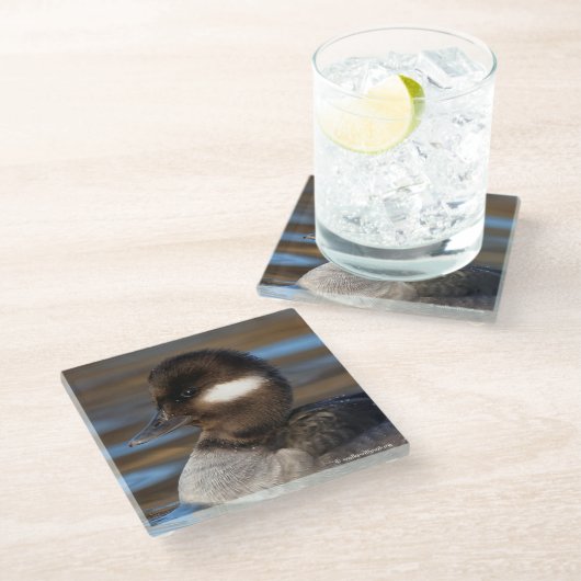 日に照った海に浮かぶ可愛らしい小柄なバッファヘッドアヒル ガラスコースター (アングル)