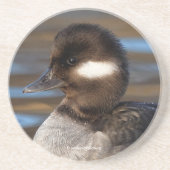 日に照った海に浮かぶ可愛らしい小柄なバッファヘッドアヒル コースター (正面)