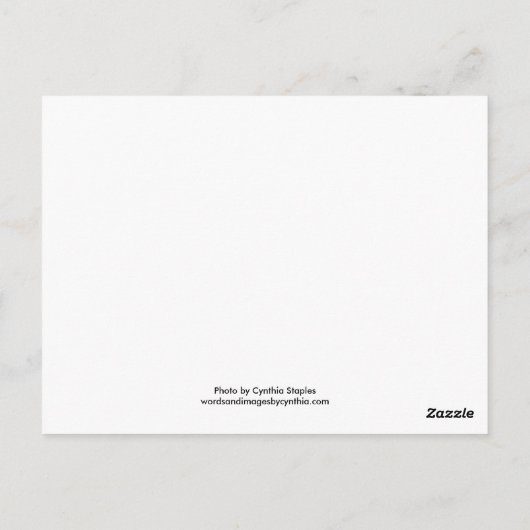 日に照った ポストカード (裏面)