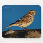 日に照らされたログにラップランドのロングスパーのバンティングソングバード マウスパッド (正面)